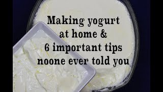 Homemade Yogurt Natural amp Plain 6 Tips Youve Never Heard Before [upl. by Hewart]