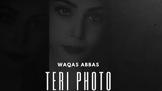 Teri Photo  Waqas Abbas  Official Audio  Top Records Click TeriPhoto [upl. by Branham596]