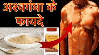 अश्वगंधा के 10 ज़बरदस्त फायदे  Ashwagandha benefits in hindi Indian Ginseng winter cherry [upl. by Namrak221]