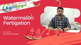 Agribegri Free Advisory  Dr Ramesh  All You Need To Know About Watermelon Fertigation [upl. by Aivartal277]