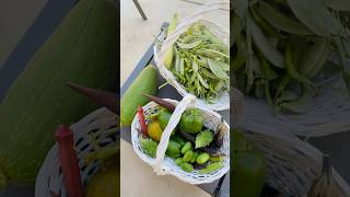 Today’s garden harvest veggiegarden organicgarden shorts satisfaction [upl. by Audre162]