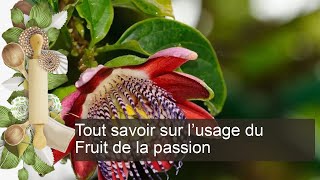 Tout savoir sur l’usage du Fruit de la passion [upl. by Wendelin162]