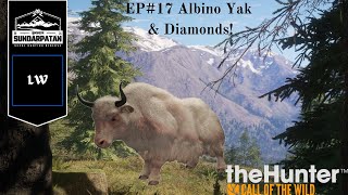 Finally finding the Very Rare Albino Yak  Thehunter call of the wild [upl. by Kendricks]