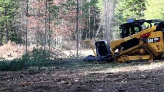 CAT299D2 SS Extreme Disc Mulcher  Advanced Forest Equipment [upl. by Zetneuq]