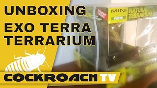 CockroachTV 1 Unboxing Exo Terra Terrarium  Extra [upl. by Abbye]