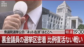 衆議院選挙公示 “ネット右派”はどこへ 裏金議員の選挙区密着 比例復活ない戦い【10月15日火報道1930】 TBS NEWS DIG [upl. by Eidorb]