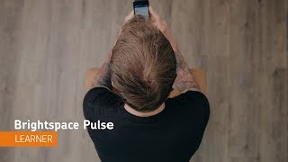 Brightspace Pulse  Navigation  Learner [upl. by Aekerly]