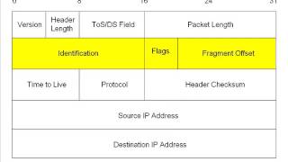 2 The IPv4 Packet [upl. by Kary]