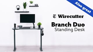 Why Was This Standing Desk Picked By Wirecutter [upl. by Cornew]