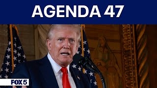 Trumps quotAgenda 47quot calls for sweeping changes to federal workforce [upl. by Nove]