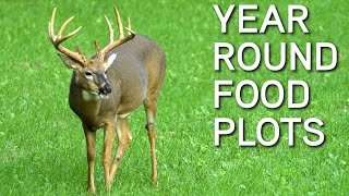 Year Round Deer Food Plot Strategy  Big amp Small Farms [upl. by Linad52]