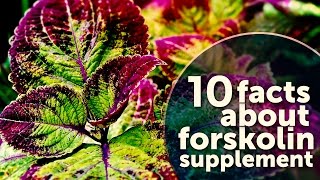 10 Facts About Forskolin Supplement [upl. by Karen383]