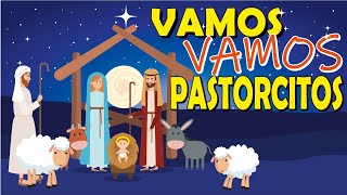 Vamos vamos pastorcitos  LETRA PRA CANTAR [upl. by Sgninnej734]