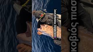 ΞΕΒΡΑΧΩΣΕ ΤΟ ΤΕΡΑΣ😱😱 ΔΥΝΑΜΩΣΕ ΤΟ😱😱 kayakfishing fishing fish [upl. by Revert126]