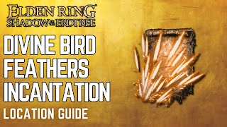 Elden Ring DLC Divine Bird Feathers Incantation Location Guide [upl. by Ahsai]