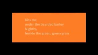 Kiss me  The Cranberries lyrics [upl. by Luas]