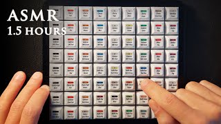 ASMR Mechanical Keyboard Switch Tester  15 hrs Soft Spoken [upl. by Acinorav225]