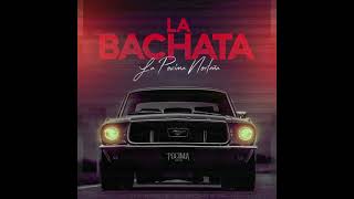 La Pocima Norteña  La Bachata Slowed  Reverb [upl. by Nywnorb]