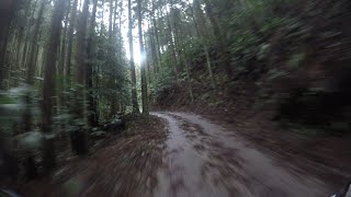 【YAMAHA SEROW250 Final】林道 福岡県糸島市 瑞梅寺【4K】 [upl. by Mogerly]