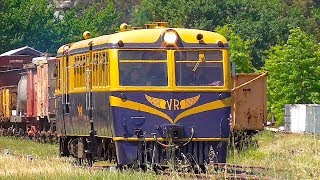 Walker Railmotor RM22 in the Yarra Valley  Yarra Valley Railway [upl. by Yeliah]