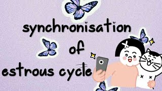 Estrous cycle 𝖘𝖙𝖚𝖉𝖞 𝖜𝖎𝖙𝖍 𝖒𝖊 synchronisation of estrous cycle in cattle [upl. by Anelrats]