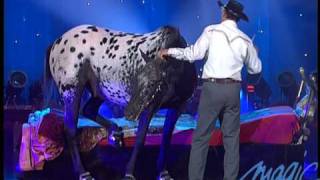 Tony Hocheger  Le cheval  LE PLUS GRAND CABARET DU MONDE [upl. by Odnomyar842]