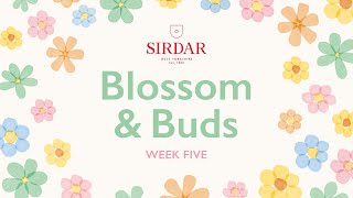 Sirdar Blossom amp Buds Crochet Along Week 5  In Full Bloom [upl. by Niad]