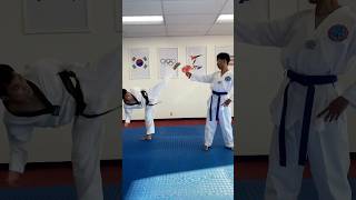 Master Taekwondo Kicking Techniques in 20 Minutes [upl. by Riva]