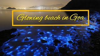 Glowing beach in Goa  Bioluminescence  Phytoplankton  Explore Goa [upl. by Eelyab]