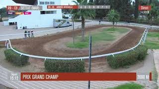 Live Hippodrome « SETTAT »  Courses du « 12102024 » [upl. by Sacttler]