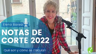 😊NOTAS de CORTE 2022  QUÉ son y CÓMO se calculan [upl. by Giorgi]