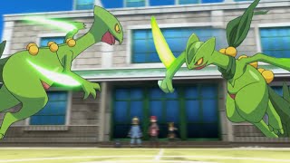 Ashs Sceptile Vs Sawyers Sceptile  Comparison video [upl. by Holladay]