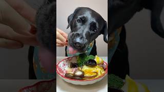 My dog enjoys the meal youtubeshorts shortvideo [upl. by Geibel]