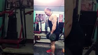 Dumbbell stiff leg deadlifts stiff leg deadlifts [upl. by Drarrej163]