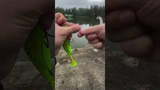 Stylo canne a pêche  fishingvideo fishing pecheur [upl. by Foy]