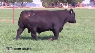 Lot 88 Tehama Tahoe E410 [upl. by Gratianna]