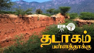 Thadagam Valley  தடாகம் பள்ளத்தாக்கு  EFI x EFA [upl. by Aned]