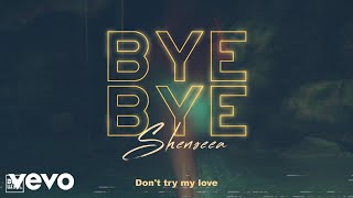 Shenseea  Bye Bye Official Lyric Video [upl. by Teuton]