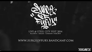 Surge of Fury Live  Steel City Fest 2014 HD [upl. by Alomeda]