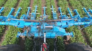 Effective and precise mechanical weeding without herbicides which respects your soil and crops [upl. by Buff265]