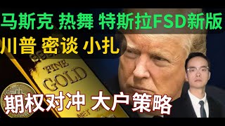 川普 密谈 Meta老板 感恩节 马斯克 热舞归来 特斯拉 发布 FSD新版本 SMCI 英特尔 范冰冰 蓝金黄，拜登 晶片 期货 期权 比特币 修整 美股 英伟达 特斯拉 [upl. by Kathie834]