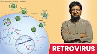 What are Retroviruses  Hindi  Urdu [upl. by Aernda]