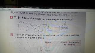 Matematikë 3 Simetria ne rrjetin koordinativ [upl. by Efi723]