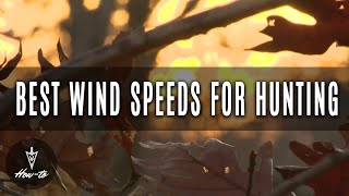 Best Wind Speeds For Hunting [upl. by Nalhsa]