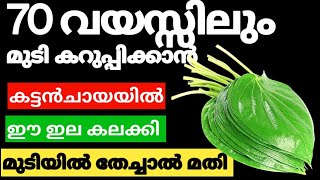 Natural Hair Dye70 വയസ്സിലും മുടി കറുപ്പിക്കാൻ ഈ ഇല മതിtrendinghairdye [upl. by Maury89]