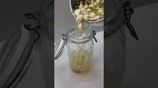 Czosnek marynowany czosnek garlic knoblauch чеснок [upl. by Averir]