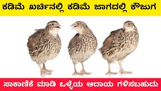 ಕೌಜಗ ಸಾಕಾಣಿಕೆ ಮಾಹಿತಿ  Profitable quail farming business tips in Kannada [upl. by Ag901]