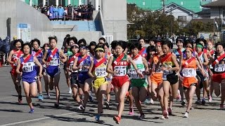 徳島県中学校新人駅伝大会（2016） [upl. by Akemor937]