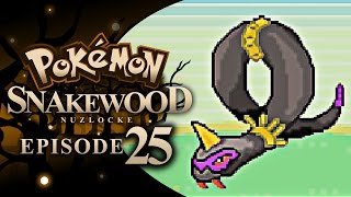 Pokémon Snakewood Nuzlocke w TheKingNappy  Ep 25 quotThe Witch Doctorquot [upl. by Cressy]