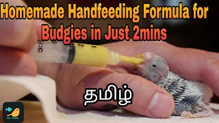 Home made budgies hand feeding formula very easy and effective tamilbudgies  Iam hobbist [upl. by Banerjee]